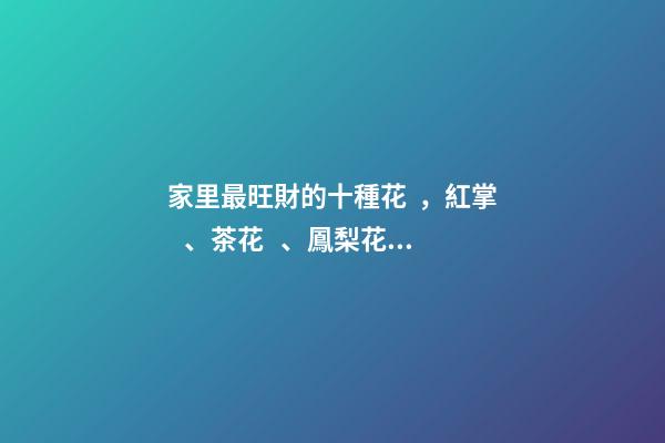 家里最旺財的十種花，紅掌、茶花、鳳梨花等